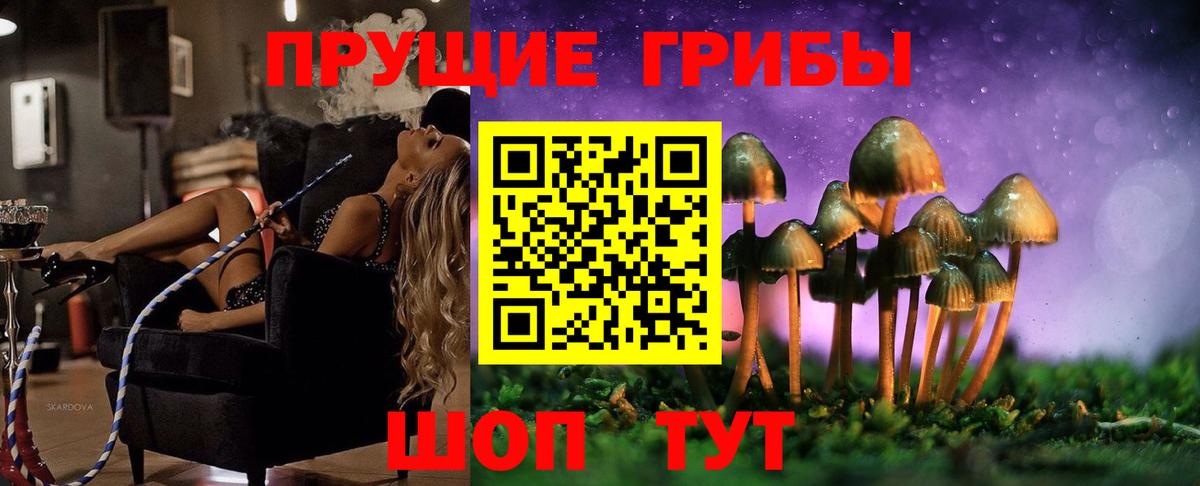 Псилоцибиновые грибы Psilocybine cubensis  Вход с VPN  Псилоцибиновые грибы MAGIC MUSHROOMS  где купить   Кисловодск 